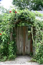 Birmingham Alabama Daily Photo July 2012 Garden Gates Outdoor Landscaping Dream Garden