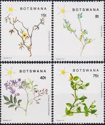 Image result for Cienfuegosia digitata