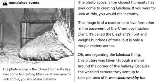 Elephant s foot chernobyl the elephant s foot is the nickname given to a large mass of cerium formed during the chernobyl disaster in april1986 the mass is qu chernobyl chernobyl disaster memes. Tumblr Thread Radioactive Lava Like Material Has Medusa Powers Fail Blog Funny Fails