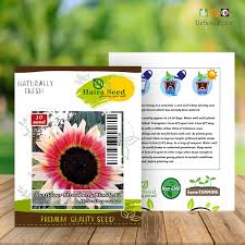 Minyak ini cocok untuk menggoreng, merebus dan memanggang karena bahannya tidak hilang meski. Jual Benih Bunga Matahari Asli Terbaru Lazada Co Id