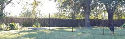 Maybe you would like to learn more about one of these? Fencing To Keep Dogs In Pasteurinstituteindia Com