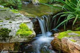 I love my garden ponds again now that i the water is clean. How To Keep Your Pond Water Clean And Healthy Pond Tips