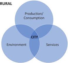 Cockroaches survive basically in any nook and cranny and they live in the dirtiest. Frontiers Reconceptualizing Urbanism Insights From Maya Cosmology Sustainable Cities