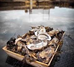Ostreiculteur Marion Eude Sarzeau Produits De La Mer Produits Regionaux Sarzeau
