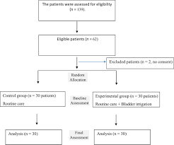 Image result for Bladder Irrigation