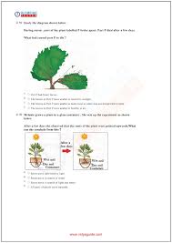 Pin On Science Worksheets