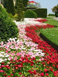 Brodsworth Hall Garden South Yorkshire Blomster Haveprojekter Verden