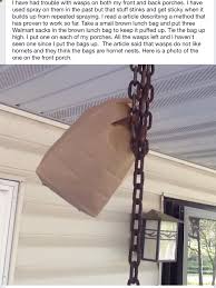 Since wasps are very territorial,. How To Keep Wasps Away From House Get Rid Of Wasps Wasp Wasp Repellent