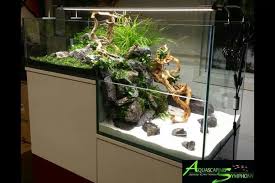 Fd537b412a0789d4b485b9d42dfce0bc Jpg 750 500 Pixels Aquarium Fish Tank Aquarium Vivarium