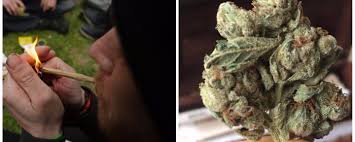 Check spelling or type a new query. Weed Withdrawal Is A Real Thing And It S Hell