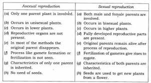 Pin On Ncert Solutions For Class 7 Science