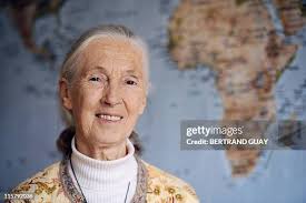 424 Peace Jane Goodall Stock Photos, High-Res Pictures, and Images
