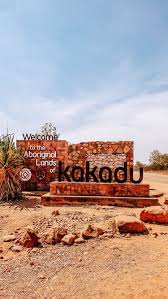 Driving Darwin To Adelaide The Ultimate Road Trip Through The Australian Outback Helena Bradbury In 2020 Road Trip Fun Road Trip Inspiration Road Trip Photography