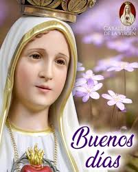REGALEMOS UNA ROSA A NUESTRA MADRE, REZANDO UN AVE MARÍA Dios te salve,  María, llena eres de gracia; el Señor es contigo; bendita Tú eres entre  todas las mujeres, y bendito es