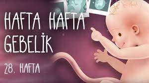 hafta hafta gebelik 28 hafta youtube