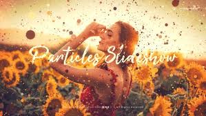 Adobe after effects features a learning curve, but the best templates help you conquer it smoothly. 10 Best Slideshow Gallery Templates For Adobe After Effects In 2021