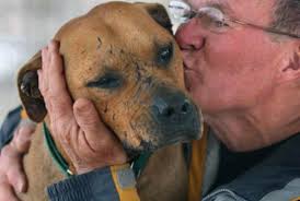 Lucas, was a Grand Champion of dog fighter, Michael Vick. I sponsored  Lucas, sending him blankets, bones...etc. In return, those small gestures  made me feel like I was making a difference in