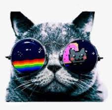 See more ideas about pictures, profile picture, profile. Coolcat Best Pictures For Profile Hd Png Download Kindpng