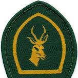 Springbok Parade