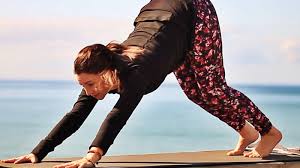 We did not find results for: Fightmaster Yoga Reviews Profile Contact Bookyogaretreats Com