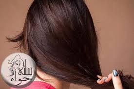 افضل طرق العناية بالشعر Hair Care Hair Stud Earrings