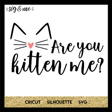 One cat short of crazy cat lady svg and dxf cut file • png • vector • calligraphy • download file • cricut • silhouette by kristin amanda designs svg cut files | thehungryjpeg.com. Are You Kitten Me Svg Me