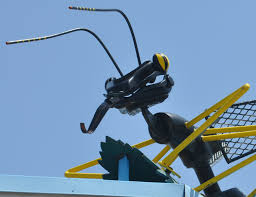 Certification at lsu summer pest control institution. Insect Statues Roadsidearchitecture Com