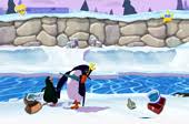 The polk penguin conservation center is the most extraordinary center for penguins in the world. World Of Zoo Wikipedia