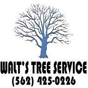 It was roy who insisted the name of the entire complex be changed from disney world to walt disney world, ensuring that people would remember that the project was walt's dream. Walt S Tree Service Home Facebook