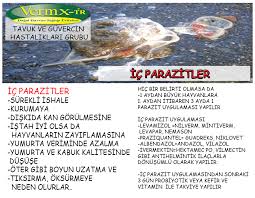 Tavuklarda Ic Parazit Vermx Tr Kanatli Urunleri