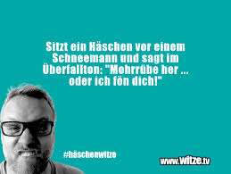Ein winter ohne einen schneemann ist heutzutage eigentlich undenkbar. Sitzt Ein Haschen Vor Einem Schneemann Und Sagt Lustige Witze Und Spruche Www Witze Tv