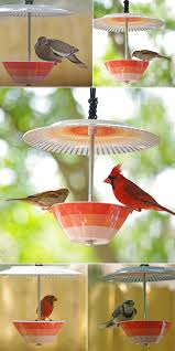 Mangoire exterieur oiseaux mangeoire oiseau extérieur mangoire oiseau exterieur mangeoire oiseaux extérieures fer mangeoire oiseaux nourriture maison oiseaux mangeoire oiseaux exterieur nourriture oiseau mangeoire oiseau mangeoire vasque oiseaux extérieur plat nourriture oiseaux. Diy Mangeoires A Oiseaux