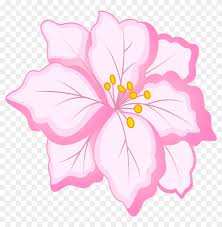 ✓ free for commercial use ✓ high quality images. White Flower Clipart Pink Flower Pink And White Flowers Png Free Transparent Png Clipart Images Download
