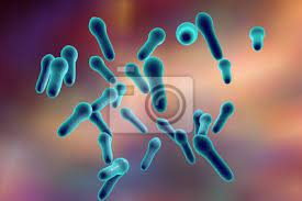 Clostridium tetani es una bacteria letal 1 formadora de esporas y anaerobia.encontrada en los hogares del ser humano y en la comida, en forma de esporas o como parásito en el tracto gastrointestinal de animales, es causante de infecciones muy graves en los humanos, y provoca la enfermedad del tétanos, generalizado: Microscopic Illustration Of Clostridium Tetani Clostridium Perfringes Fototapete Fototapeten Tetanus Bakterien Pathologie Myloview De