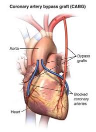 Pin On Cardiology