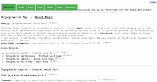 Image result for Dryopteris athamantica