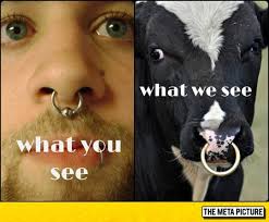 Why Are So Many People Getting A Septum Piercing Lately Septum Piercing Septum Piercing