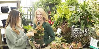 Trees, shrubs, perennials, natives, annuals, grasses, herbs, houseplants: Pike Nurseries Linkedin