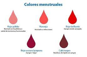 Por Que Me Viene El Flujo Marron