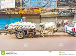 Ox Cart In The Streets Of Old Delhi Editorial Stock Photo