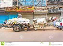 ox cart in the streets of old delhi editorial stock photo