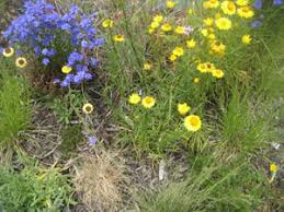 We did not find results for: Tips For Attracting Butterflies