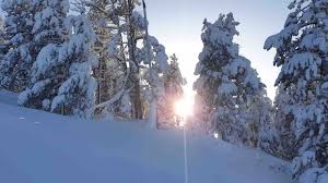 Location appartement eyne cambre d'aze. Cambre D Aze The Secret Of The Catalan Pyrenees I Love Ski