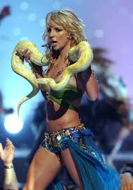 Image result for britney spears python