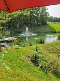 Cost to build a pond. How To Choose The Right Size Pond Pump Fountain Or Aerator
