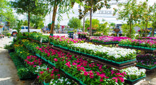 In addition you will get the following here's a free gift for you; Garden Nursery Business Plan Example 2021upd Ogscapital