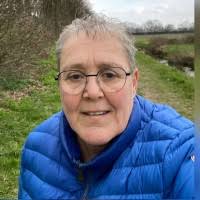 10+ "Nancy Wit" profiles