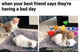 When Your Best Friend Says They Re Having A Bad Day Meme Ahseeit