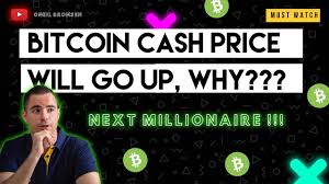 Bitcoin cash node was against it, and it clearly received a lot more support, judging by the hashpower. How Will Bitcoin Cash Make You A Millionaire Soon Overview Price Prediction June 2021 Youtube