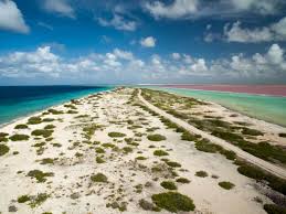 The most common component of sand is silicon dioxide in the form of quartz. World S 9 Prettiest Pink Sand Beaches In 2021 With Photos Trips To Discover